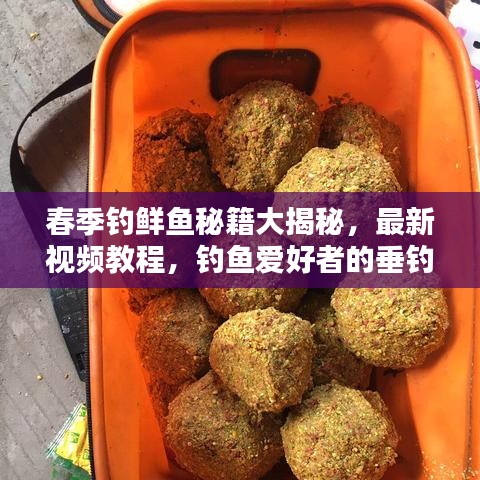 春季钓鲜鱼秘籍大揭秘,最新视频教程,钓鱼爱好者的垂钓宝典
