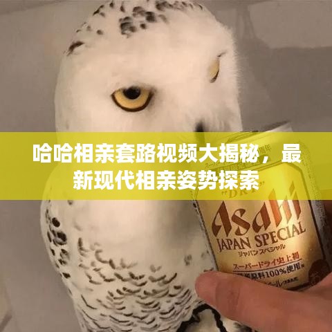 哈哈相亲套路视频大揭秘,最新现代相亲姿势探索