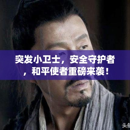 网络安全顾问眼中的网络安全软件——chiq官方下载，实地验证策略方案_桌面款1_v10.754深度解析