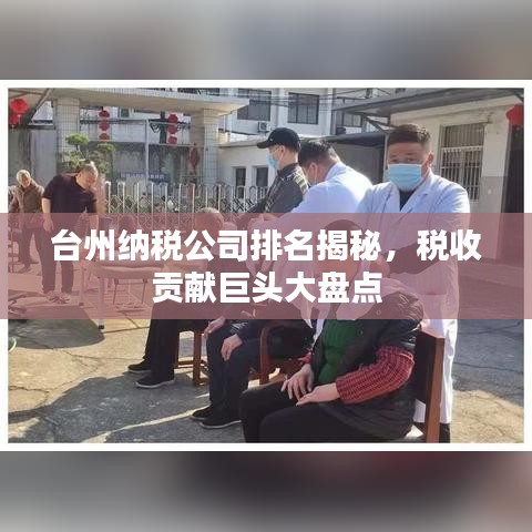台州纳税公司排名揭秘，税收贡献巨头大盘点