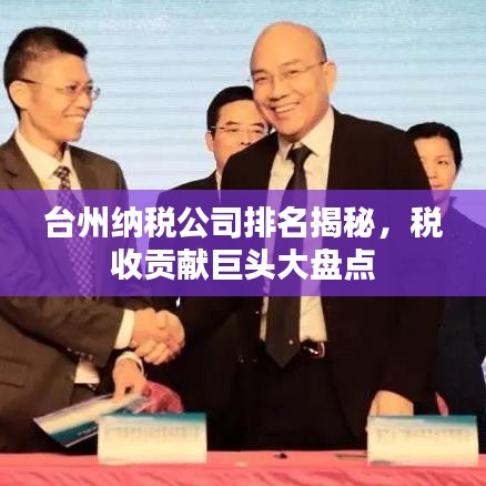 台州纳税公司排名揭秘,税收贡献巨头大盘点
