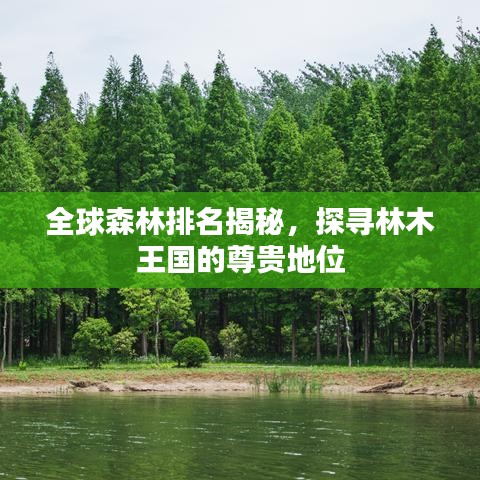 全球森林排名揭秘,探寻林木王国的尊贵地位