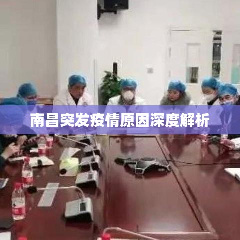 南昌突发疫情原因深度解析