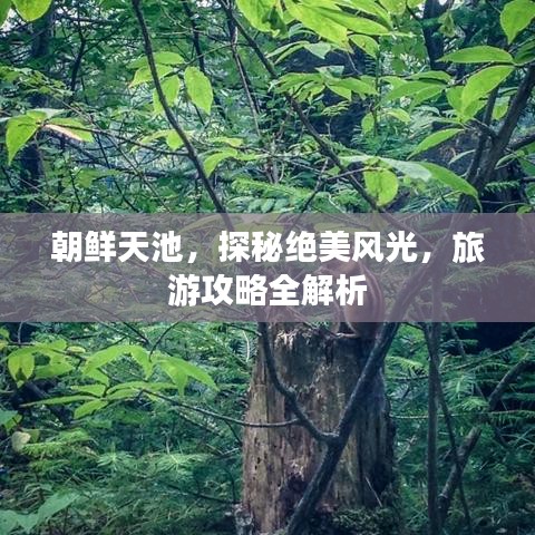 朝鲜天池，探秘绝美风光，旅游攻略全解析