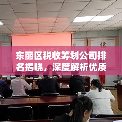 东丽区税收筹划公司排名揭晓,深度解析优质服务的企业!