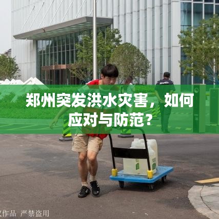 郑州突发洪水灾害,如何应对与防范?