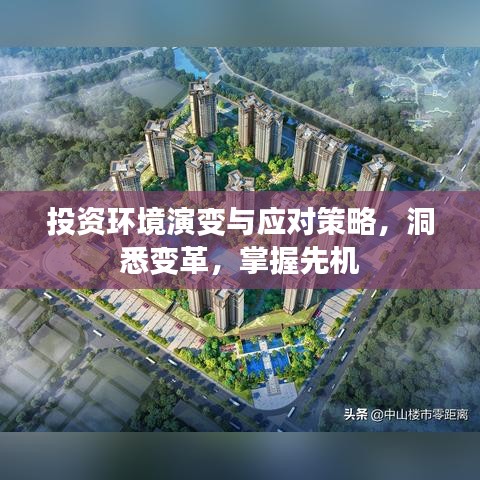 投资环境演变与应对策略,洞悉变革,掌握先机