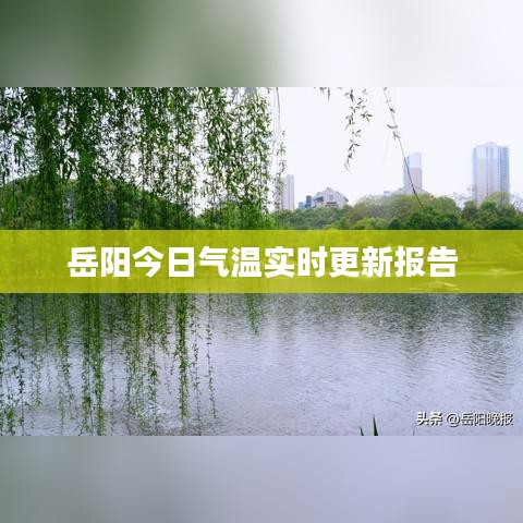 插翅难飞 第5页