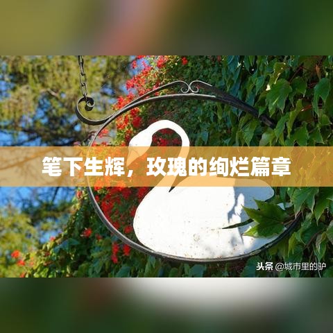 笔下生辉,玫瑰的绚烂篇章