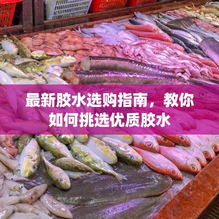 最新胶水选购指南,教你如何挑选优质胶水