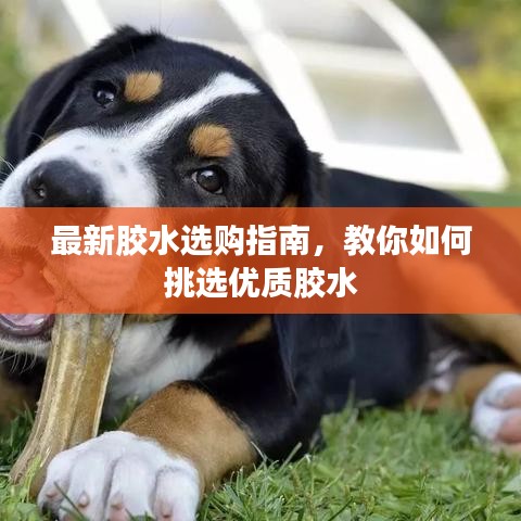 最新胶水选购指南,教你如何挑选优质胶水