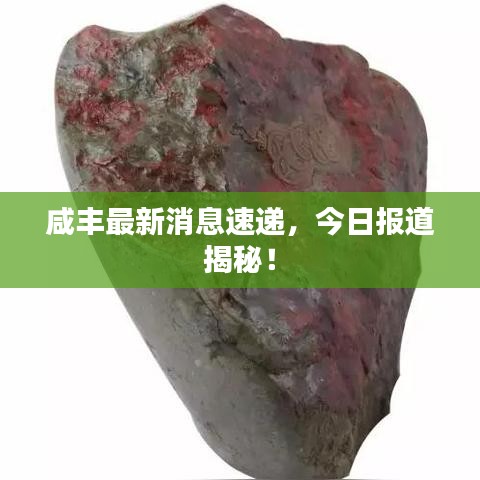 咸丰最新消息速递,今日报道揭秘!