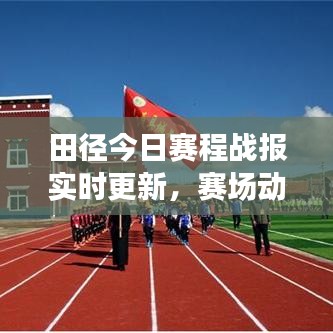 田径今日赛程战报实时更新，赛场动态一键查询！