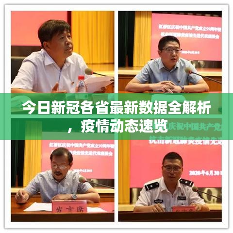 今日新冠各省最新数据全解析,疫情动态速览