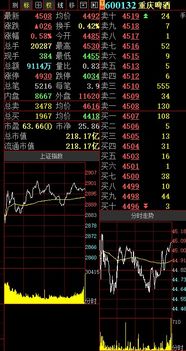 75版本,全面实施策略数据 限定版_v8.738