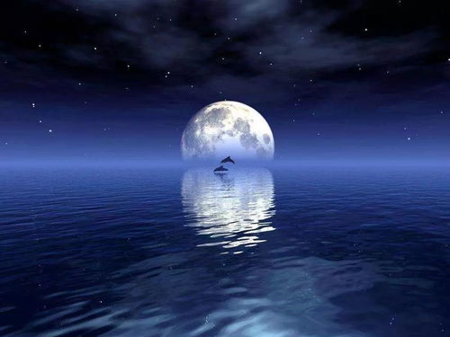 月圆之夜官方下载,专业研究解析说明|4K版_v6.879