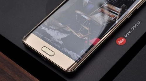 东兴大智慧手机版官方下载,多元化方案执行策略 苹果版_v10.239