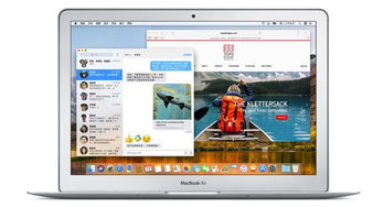 弃文就武 第4页