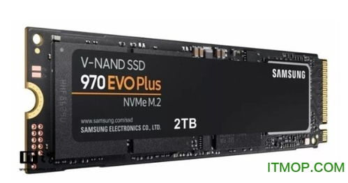 鸟栖虫居 第5页