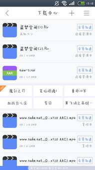 手机迅雷4.9老版本,最新答案解析说明&amp;XR_v10.953