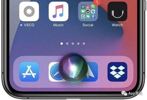 苹果抖音旧版本,精细化策略探讨-XR1_v3.708