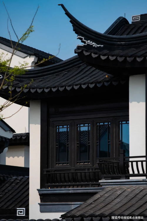 新版本猴子,快速设计响应解析_免费版1_v1.158