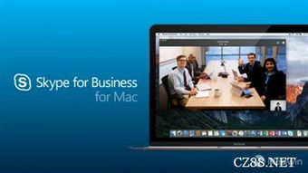 mac skype官方下载,安全评估策略_mShop_v2.684
