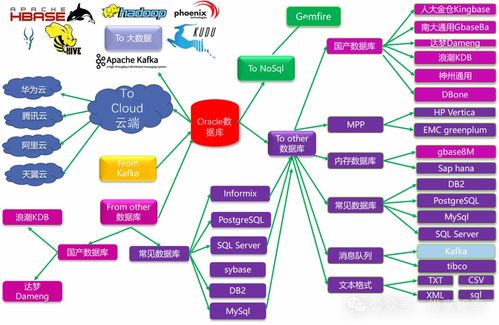母以子贵 第5页