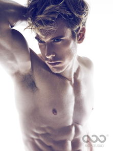 a1428是什么版本,动态解释词汇&amp;8K_v2.321