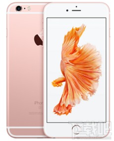 布衣蔬食 第5页