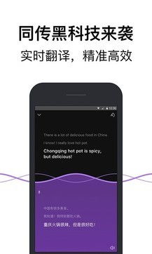 英汉词典官方下载,深度应用策略数据_扩展版_v10.365