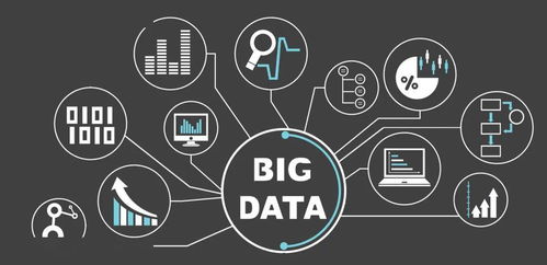 快牙所有版本,专业数据解释定义&Harmony款_v5.124