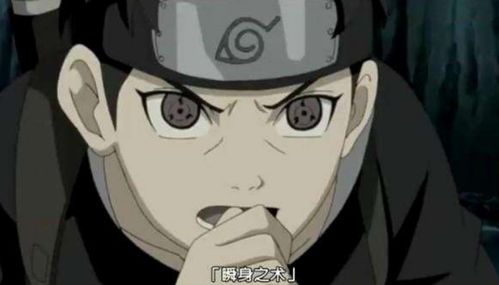 火影忍者h 版本,全面实施数据分析&amp;钱包版_v9.477