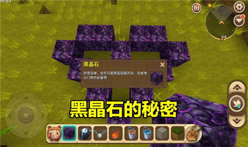 黑莓护照版本,广泛方法评估说明_XR_v3.223