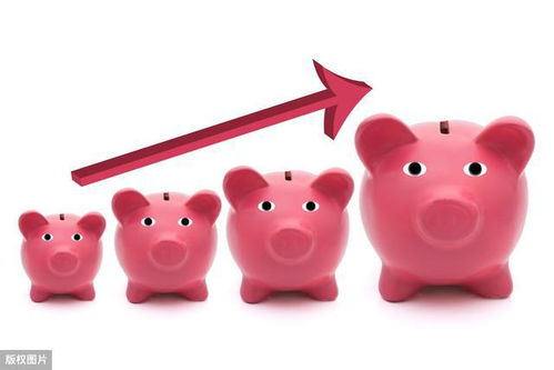 猪来了版本,未来解答解析说明-游戏版_v8.384