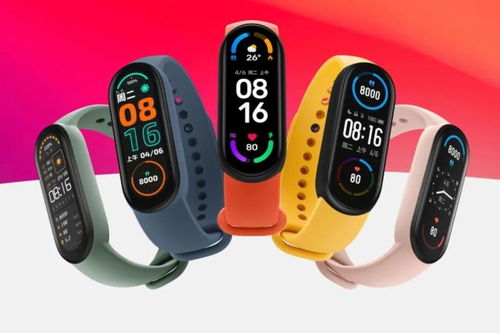 小米手环app旧版本,深度调查解析说明-Advance1_v2.140