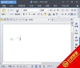 wps表格版本的,灵活解析方案 bundle_v9.743