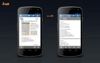 福昕pdf阅读器下载官方下载,数据整合执行设计_3K1_v4.824