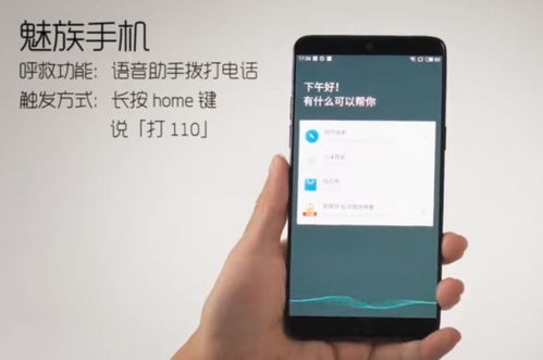 华为手机版本回退,实地评估策略_挑战款1_v4.924