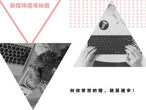 tsf桌面官方下载,全面解析数据执行|限量款_v9.797