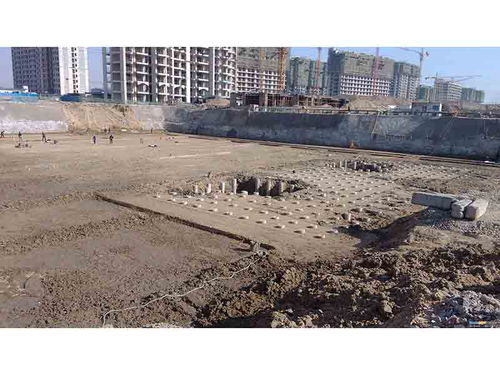 漫天飞舞 第5页