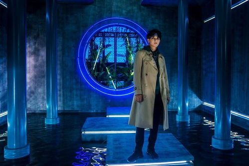 蛙趣历史版本,动态词语解释定义|特供版_v8.201