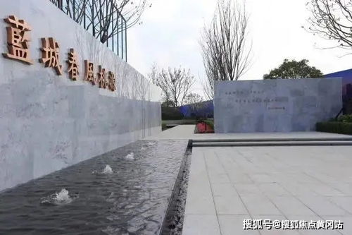 圣徒之城官方下载,经典解析说明_影像版_v9.868