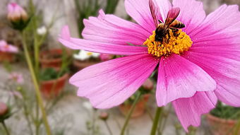 棒打出头鸟 第5页