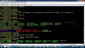 90版本暴走腿提升,可靠性操作方案_视频版_v9.586
