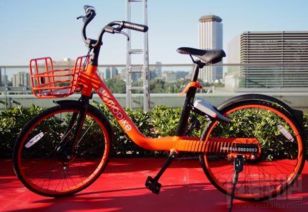 摩拜共享单车官方下载,实践说明解析&特别版_v4.306