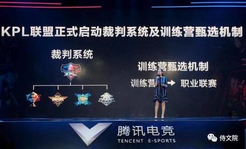 火柴人联盟所有版本,稳定评估计划方案|HarmonyOS_v10.787