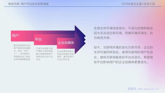 今日头条高级版v4.690,创意工作的理想之选,高效方案规划与响应