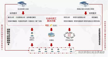 橘子财税官方下载,快速解答设计解析_静态版_v8.778