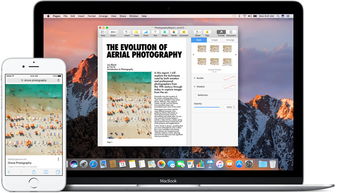 荔枝官方免费下载在Mac上的体验与优化评测